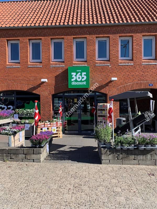 365discount Asylgade