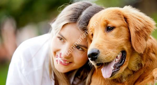 Bestla - Online hundeartikler