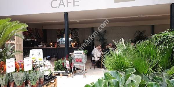 Billigblomst Hillerød