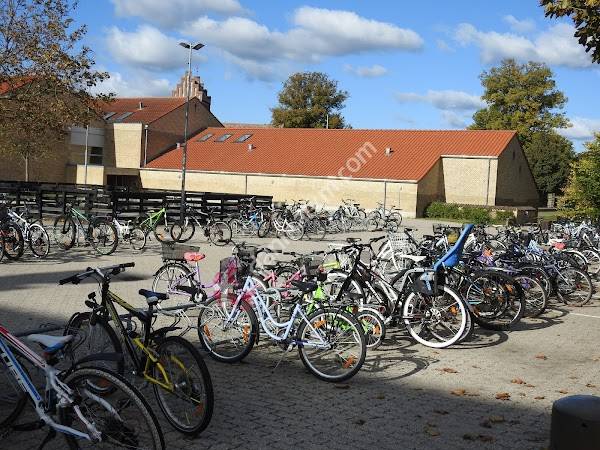 Borup Skole
