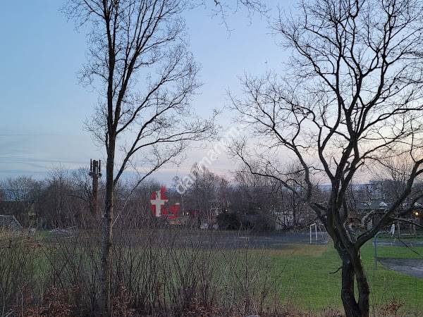 Borupgårdskolen