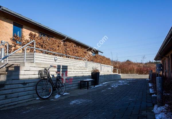 Botilbuddet Åse Marie