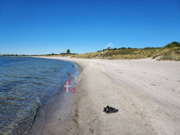 Brøndby Strandpark