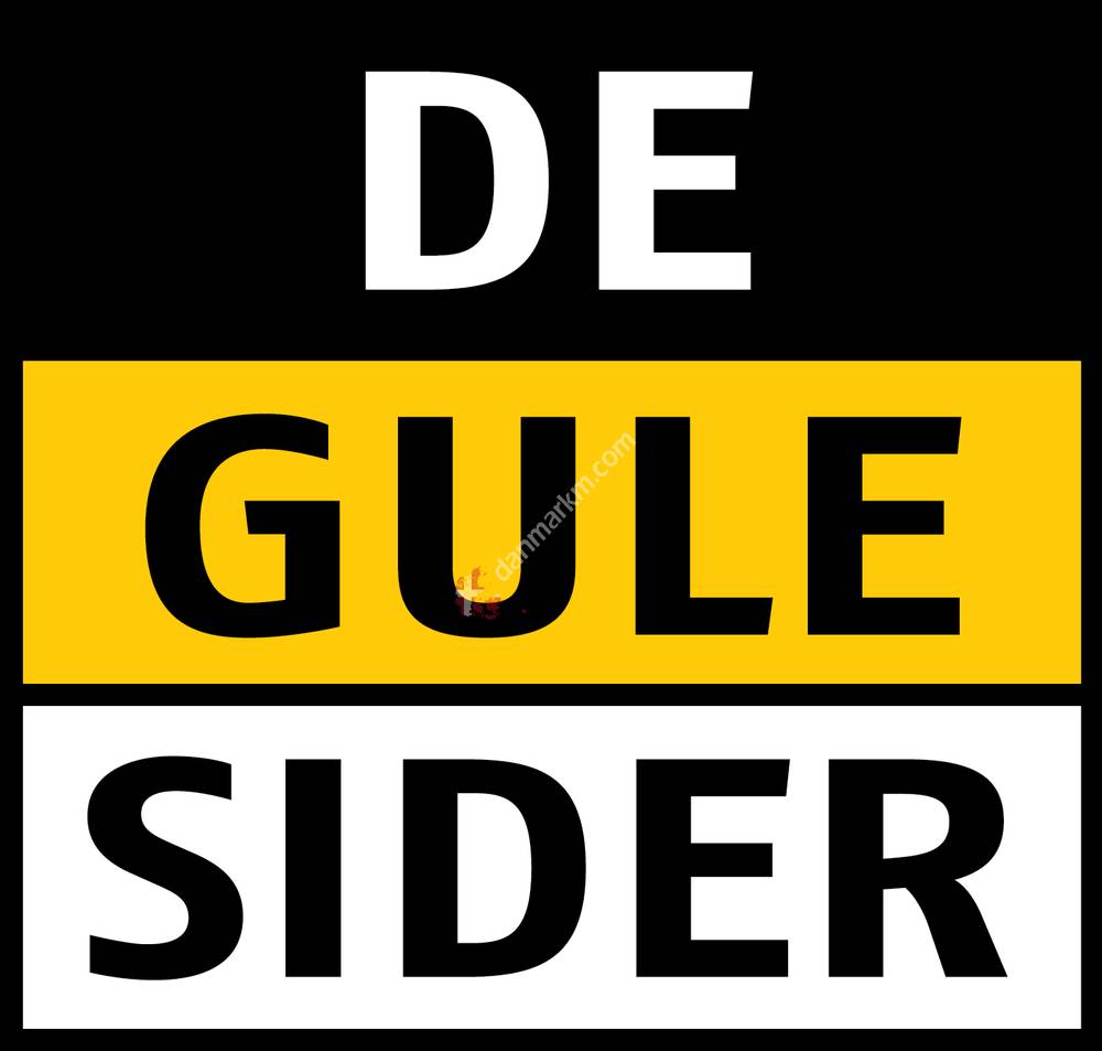 Dansk Plastvindues Service