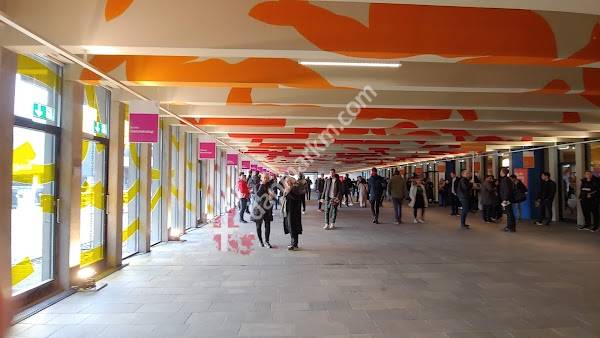 DTU Building 101 Sports Hall