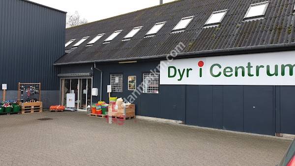 Dyr I Centrum