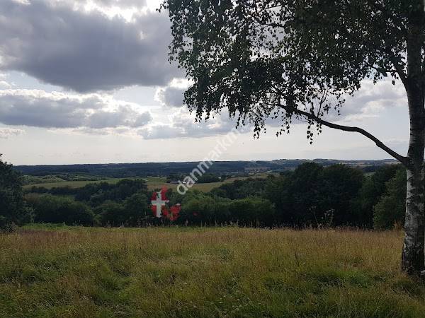 Dyred Banke Dyrebanke eller Pilebakken)