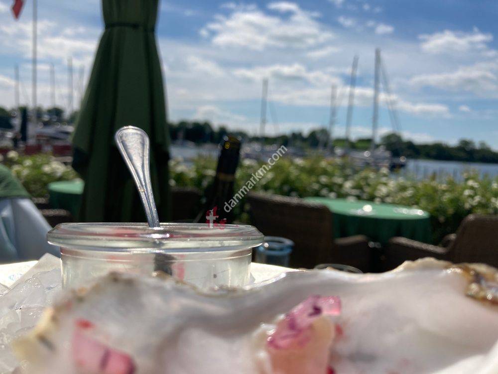 Dyvig Badehotel