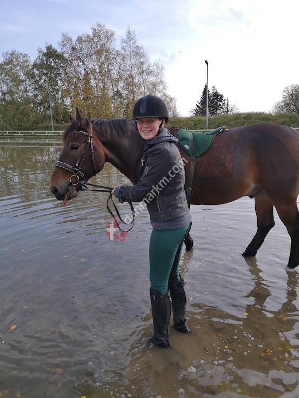 Egedal Rideklub Edal