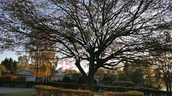 Engsøgård Plejehjem