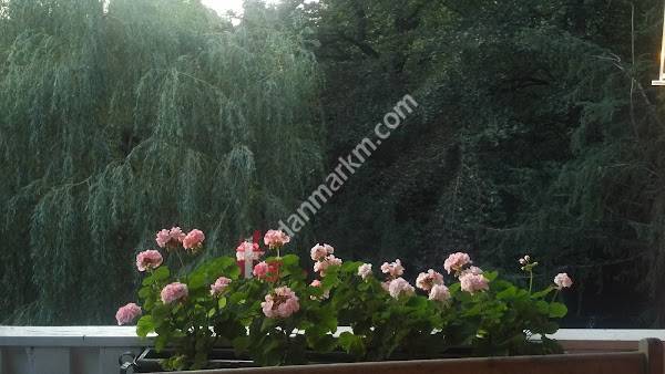 ERHVERVSPARKEN TEP A/S