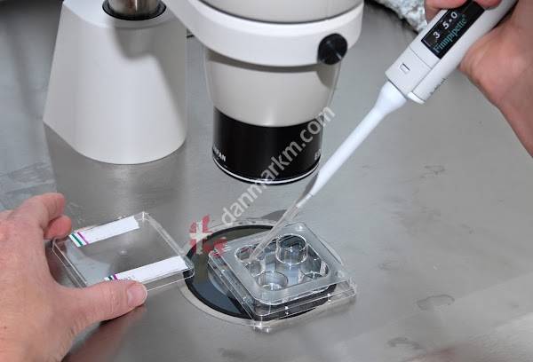 Fertilitetsklinikken, Regionshospitalet Skive