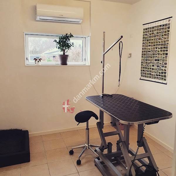 Floras Hundesalon