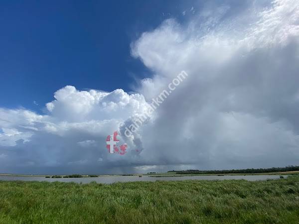 Fugletårn Lønborggård