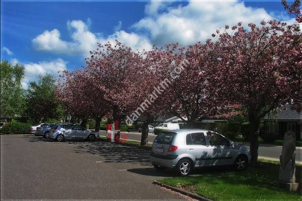 Gadekøkkenet v/Lisbeth Gade