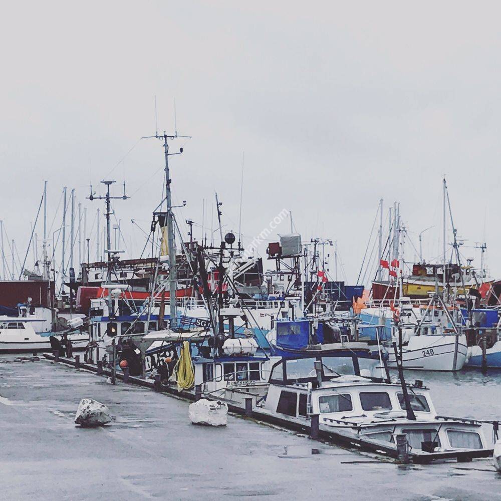 Gilleleje Havn