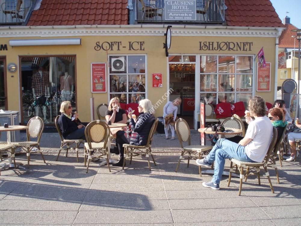 Ishjørnet