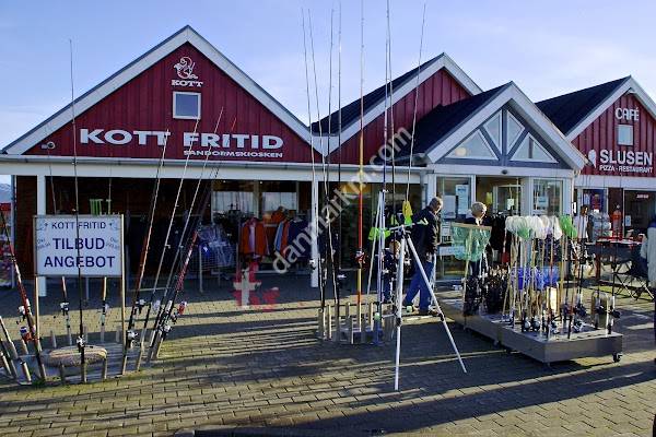 Kott Fritid Hvide Sande