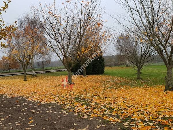 Mårum Møllegård v/Hans Jørgen Albertsen og Malene Grønvald
