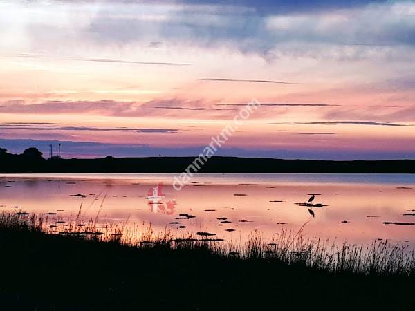 Margueritruten ved Skælskør