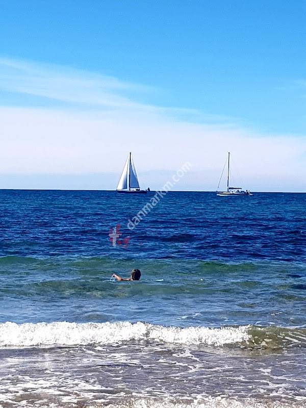 Morbærvej (Smidstrup Strandvej)
