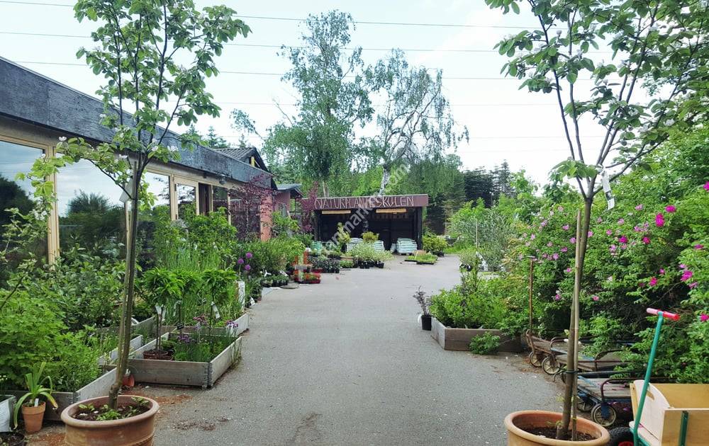 Naturplanteskolen