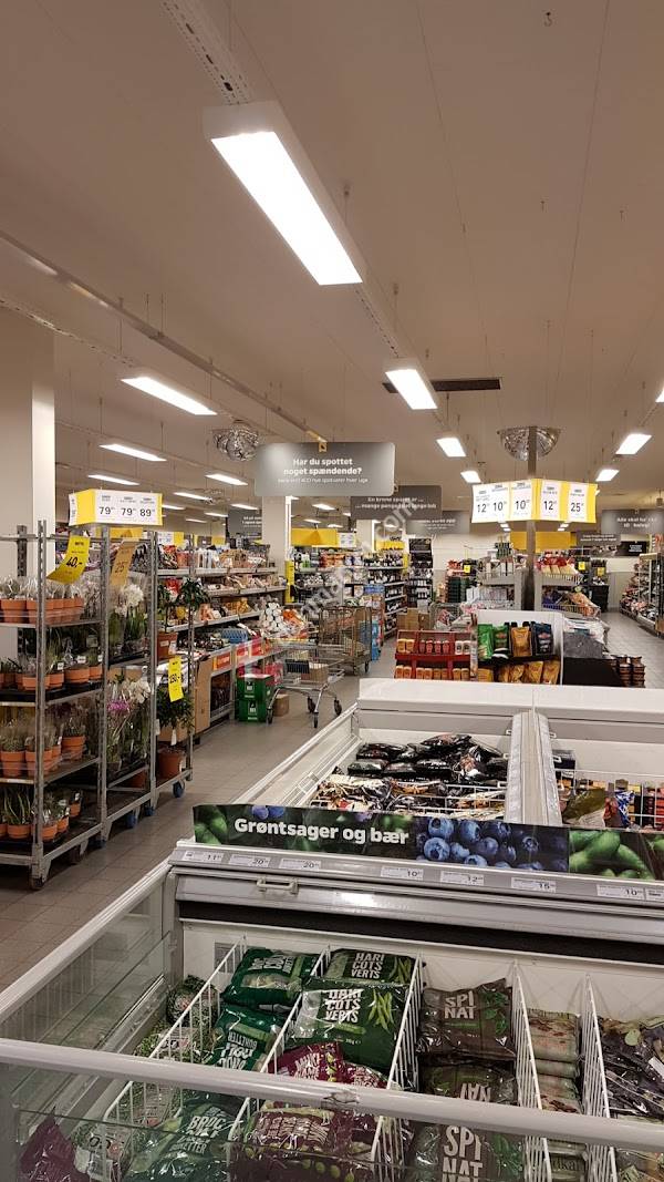 Netto