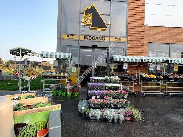 Netto