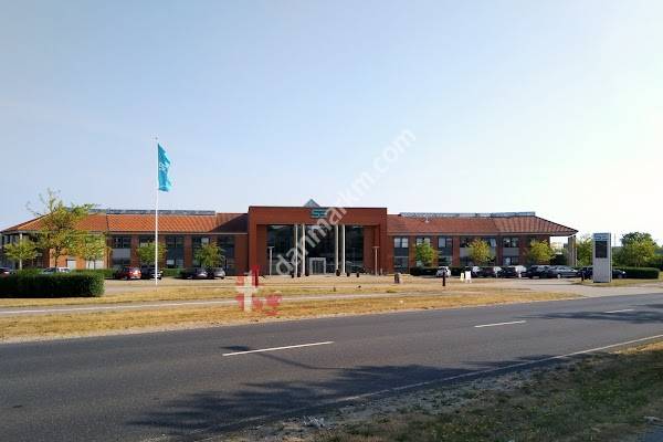 Norlys