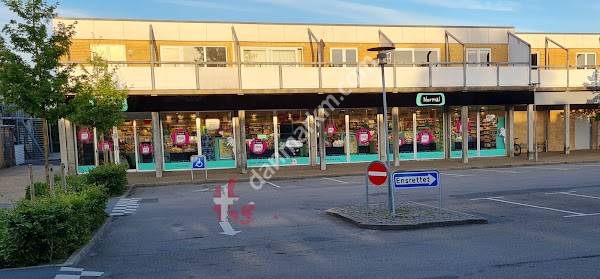 NORMAL Hørning, Nørre Alle