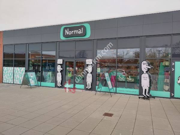 NORMAL Hammel, Tema Centret
