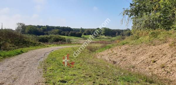 Parkering - Karlstrup Skov - Søndergård