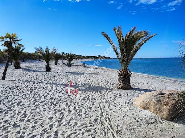 Parkeringsplads Palmestranden