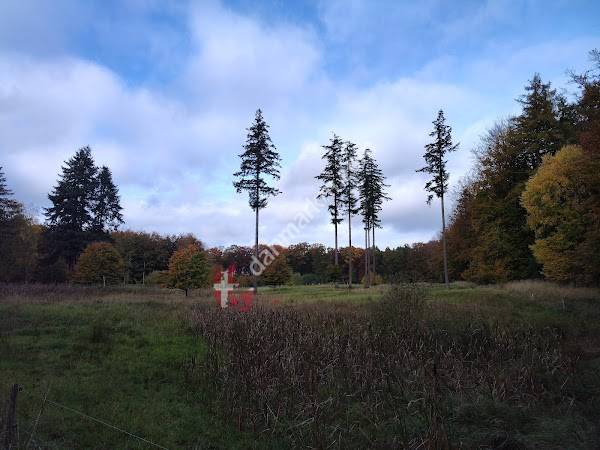 Parkeringspladsen for enden af Skovvej