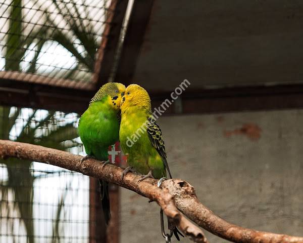 Plantorama Silkeborg