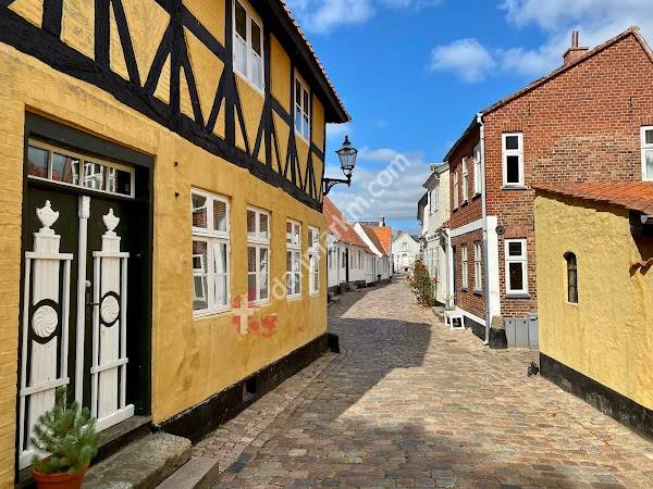 Ribe