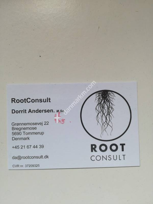 RootConsult