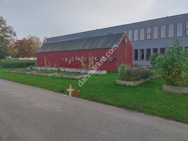 Søndersøskolen