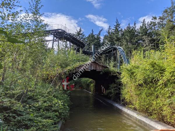 Savannen