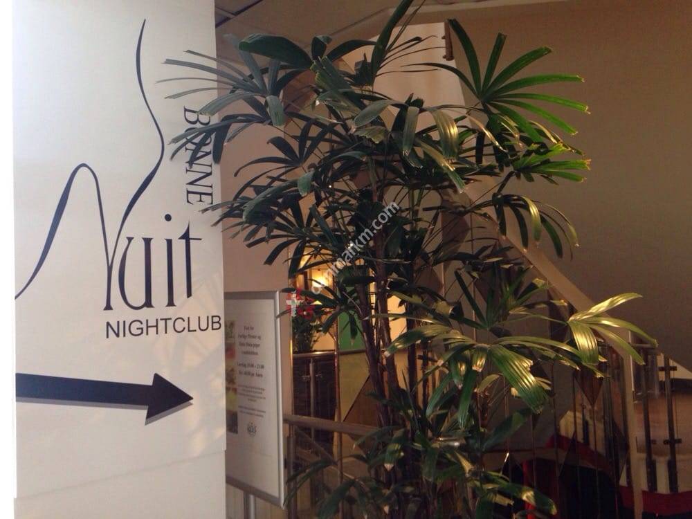 Scandic Hotel the Reef