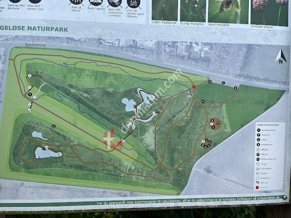 Sengeløse Naturpark og MTB spor
