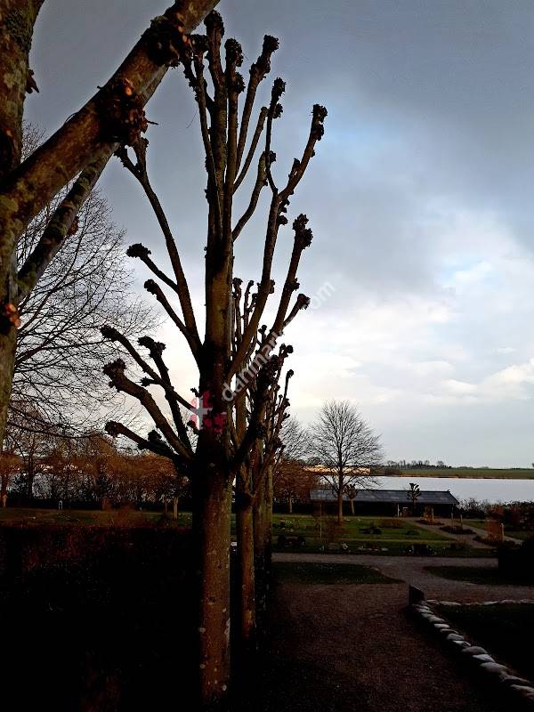 Skælskør Kirkegård