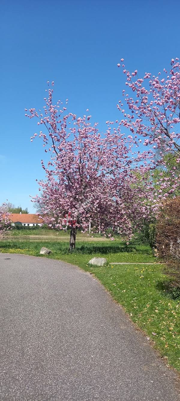 Solgaven