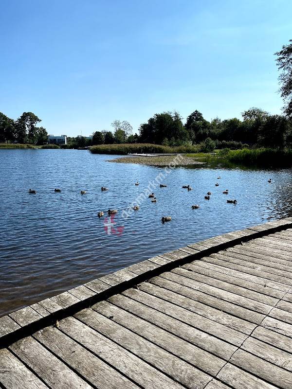 Sunds Lege Park