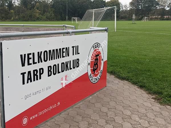 Tarp Boldklub