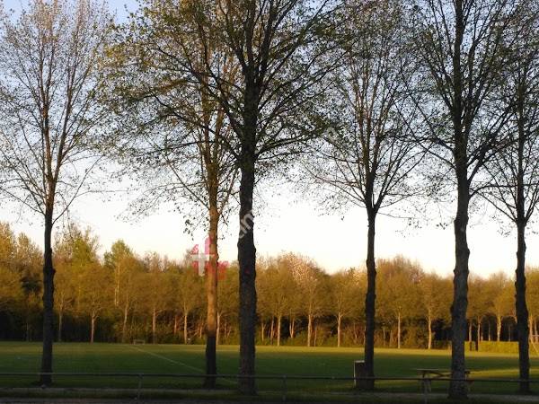 Vallensbæk Tennisklub | Tennis & Padel