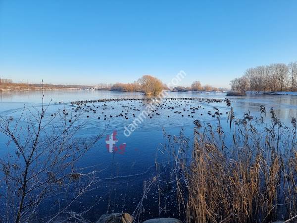 Vallensbæk Vandskiklub